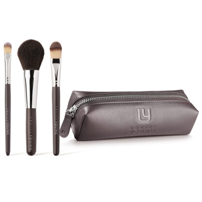 3 piece brush set with case (brown)